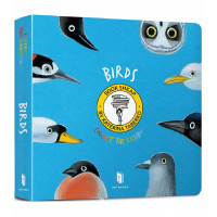 CollectTheRainbow Birds., Таберко Катерина