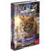 Коти - вояки. Комплект 6 книг. Цикл 4 "Знамення Зореклану". - Ерін Гантер