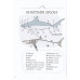 Анатомія океану. Неймовірні місця та частини світу, сховані під водою., Джулія Ротман