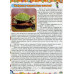 Енциклопедія про все на світі. Зелена., Юлія Карпенко Енциклопедія про все на світі. Зелена., Юлія Карпенко