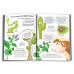 Хочу все знати про рослини. - Камілла де ла Бедуайер Хочу все знати про рослини. - Камілла де ла Бедуайер