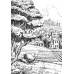 Вартові Кордонів і Меж. Гострі кігті минулого. Книга 2. - Гаель Алехо Грахілья