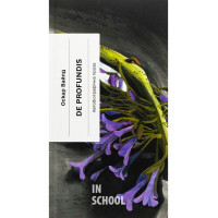 De Profundis. Послання: в ув'язненні та кайданах., Оскар Вайлд