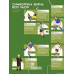 Книга-мандрівка. Чемпіонати світу з футболу. - Анна Плотка, Андрій Столярчук, Ірина Тараненко, Марія Воробйова, Марта Лешак Книга-мандрівка. Чемпіонати світу з футболу. - Анна Плотка, Андрій Столярчук, Ірина Тараненко, Марія Воробйова, Марта Лешак